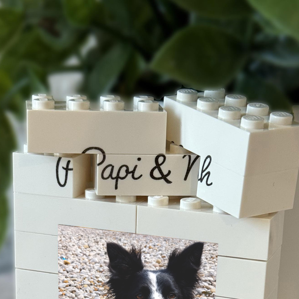 1PC Custom Pet Building Blocks - Building Blocks 评论和价格